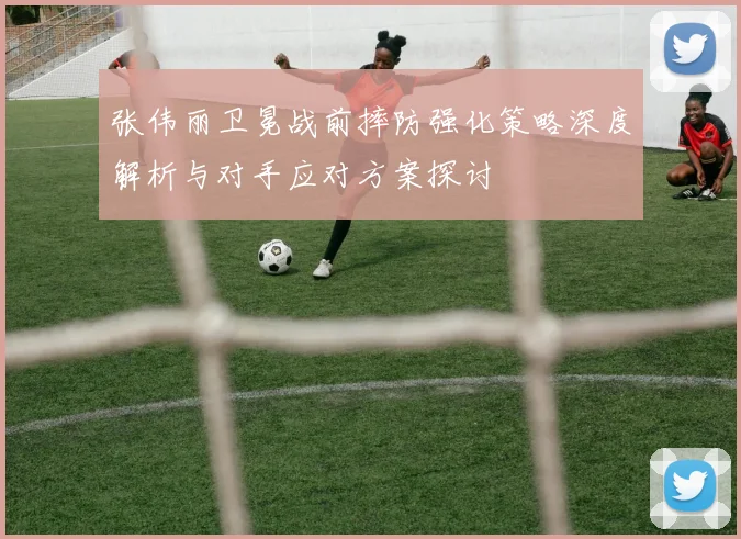 张伟丽卫冕战前摔防强化策略深度解析与对手应对方案探讨